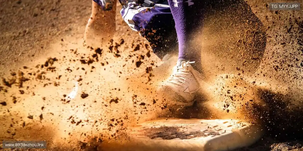 🏋️♂️专业品质,耐用舒适!从健身器材到运动服饰,你的健康首选!🎽